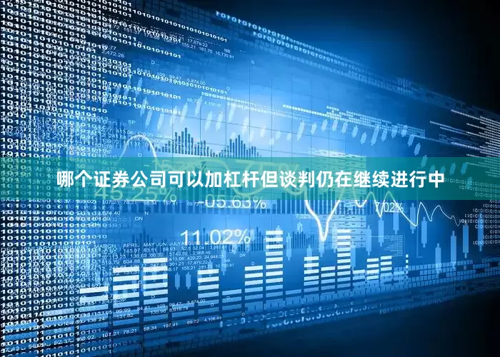 哪个证券公司可以加杠杆但谈判仍在继续进行中