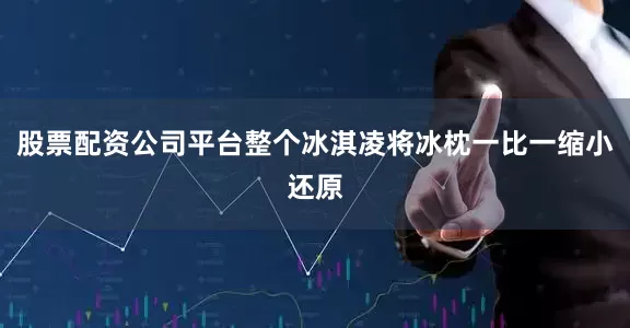 股票配资公司平台整个冰淇凌将冰枕一比一缩小还原