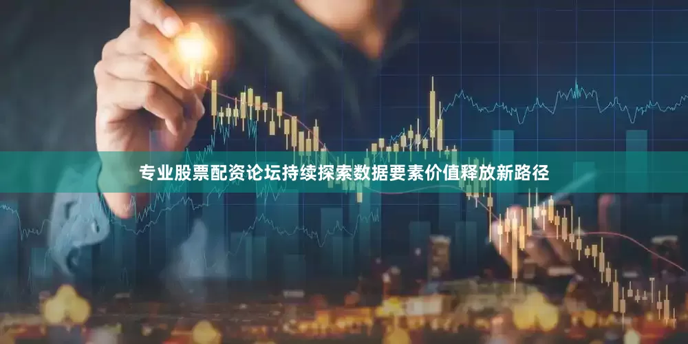 专业股票配资论坛持续探索数据要素价值释放新路径